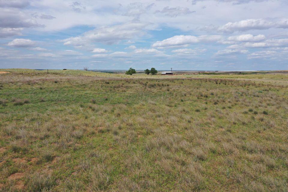15200 Highway 152 Wheeler, TX 79096 - Photo 57 of 71 a view of a field and trees