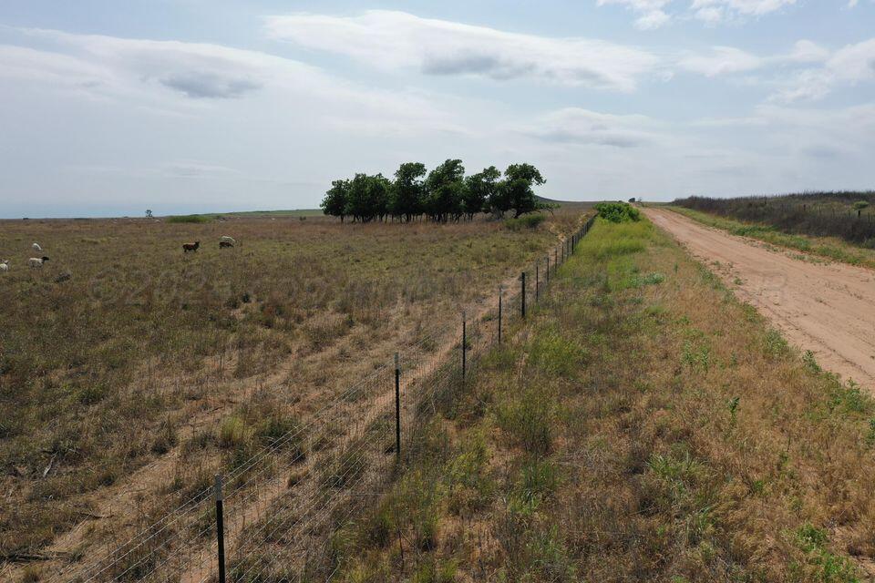 15200 Highway 152 Wheeler, TX 79096 - Photo 61 of 71 20240703154542441043000000-o