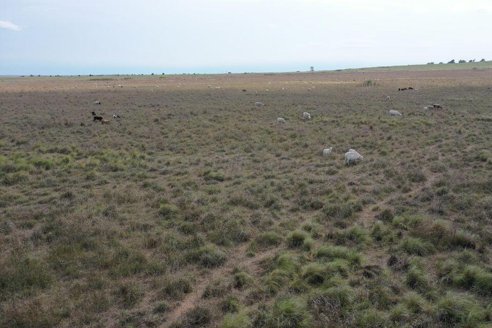 15200 Highway 152 Wheeler, TX 79096 - Photo 62 of 71 20240703154543683909000000-o