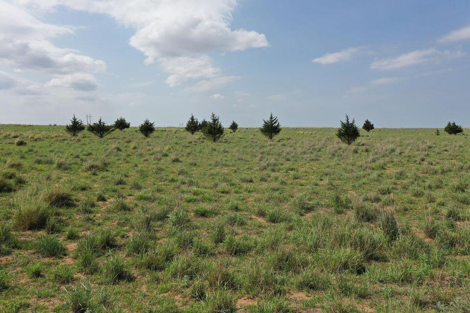 15200 Highway 152 Wheeler, TX 79096 - Photo 68 of 71 20240703154550669177000000-o