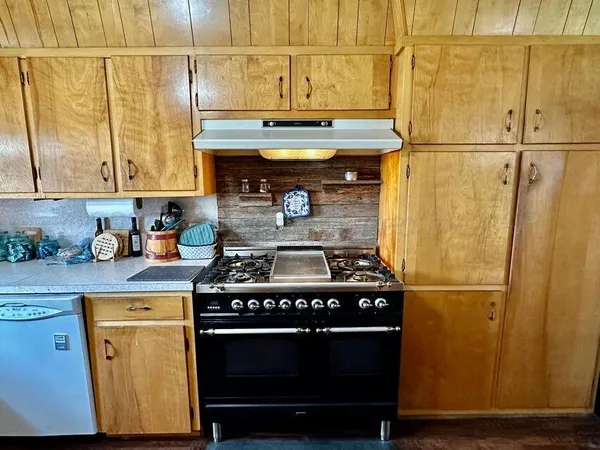 a kitchen with a sink a window and cabinets