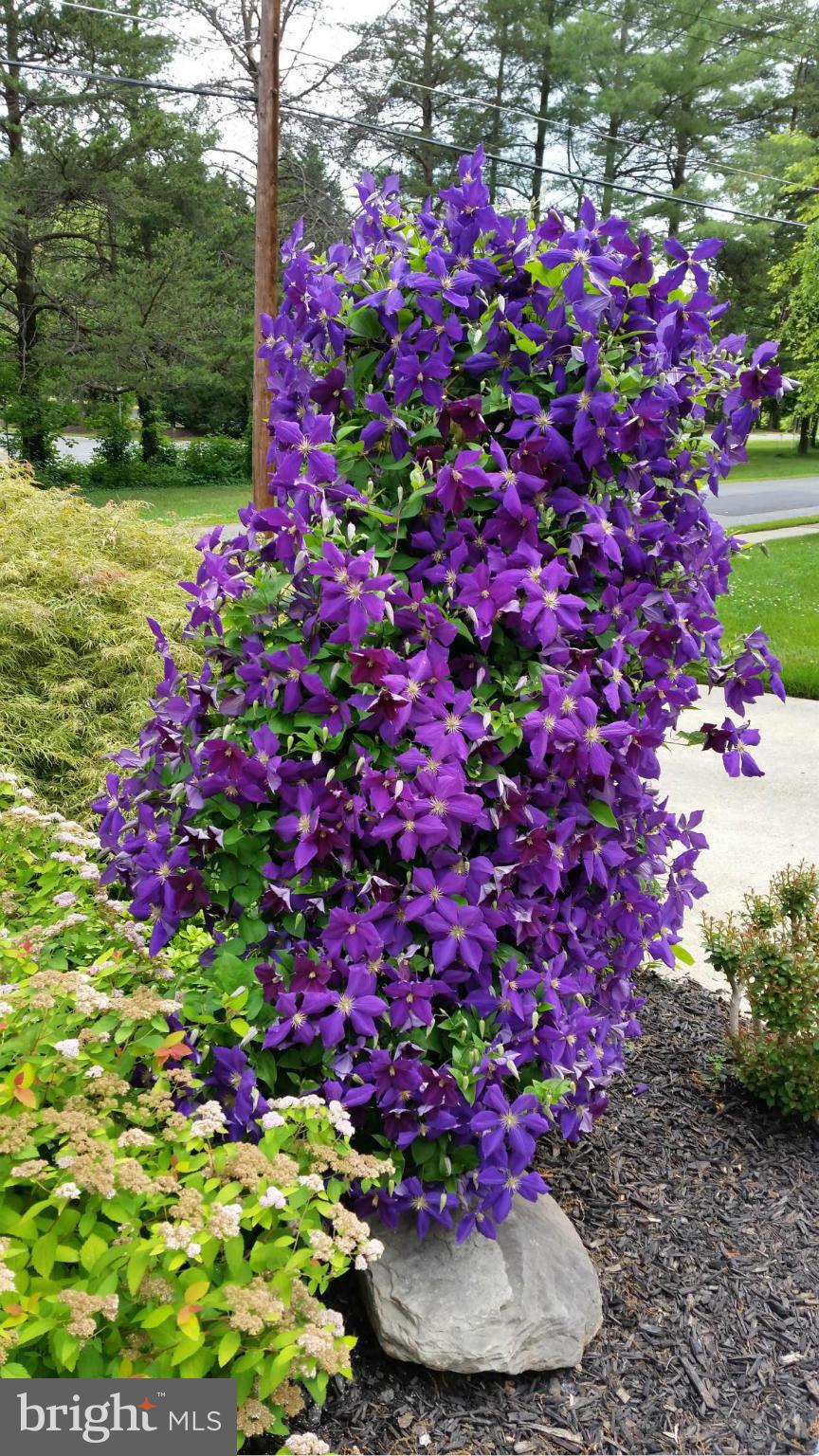 7315 Monticello Boulevard Springfield, VA 22150 - Photo 25 of 25 Exterior (General)