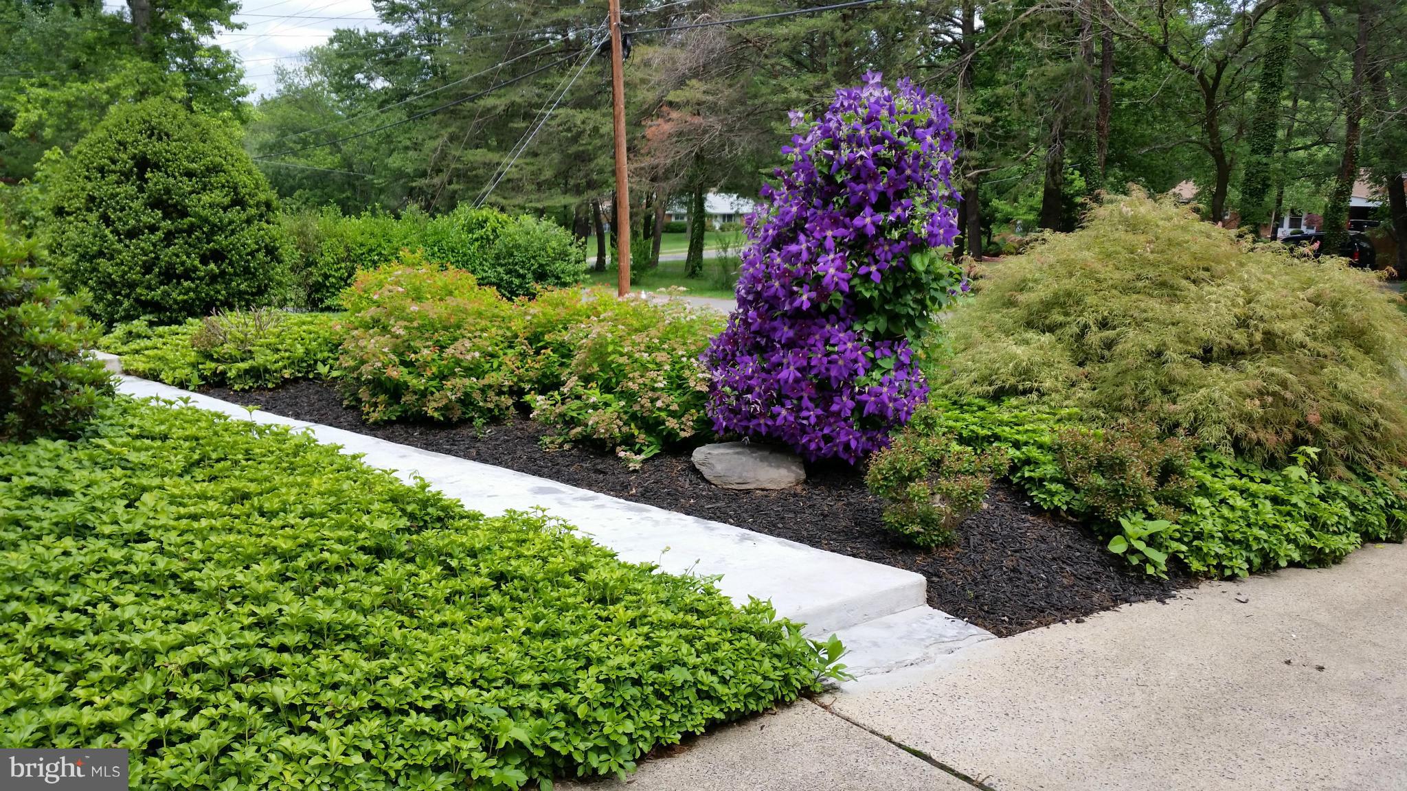 7315 Monticello Boulevard Springfield, VA 22150 - Photo 4 of 25 Exterior (General)