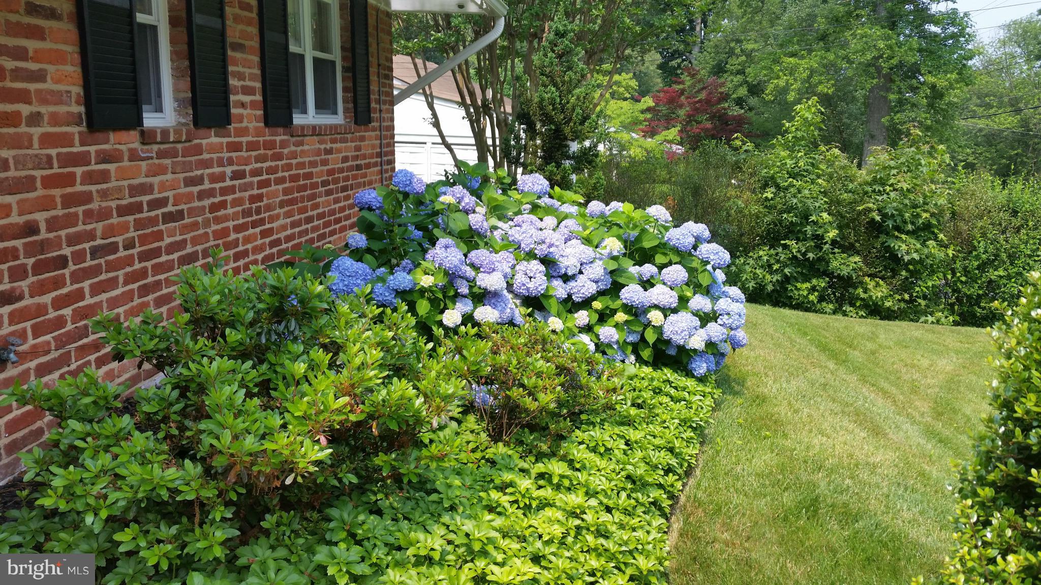 7315 Monticello Boulevard Springfield, VA 22150 - Photo 5 of 25 Exterior (General)