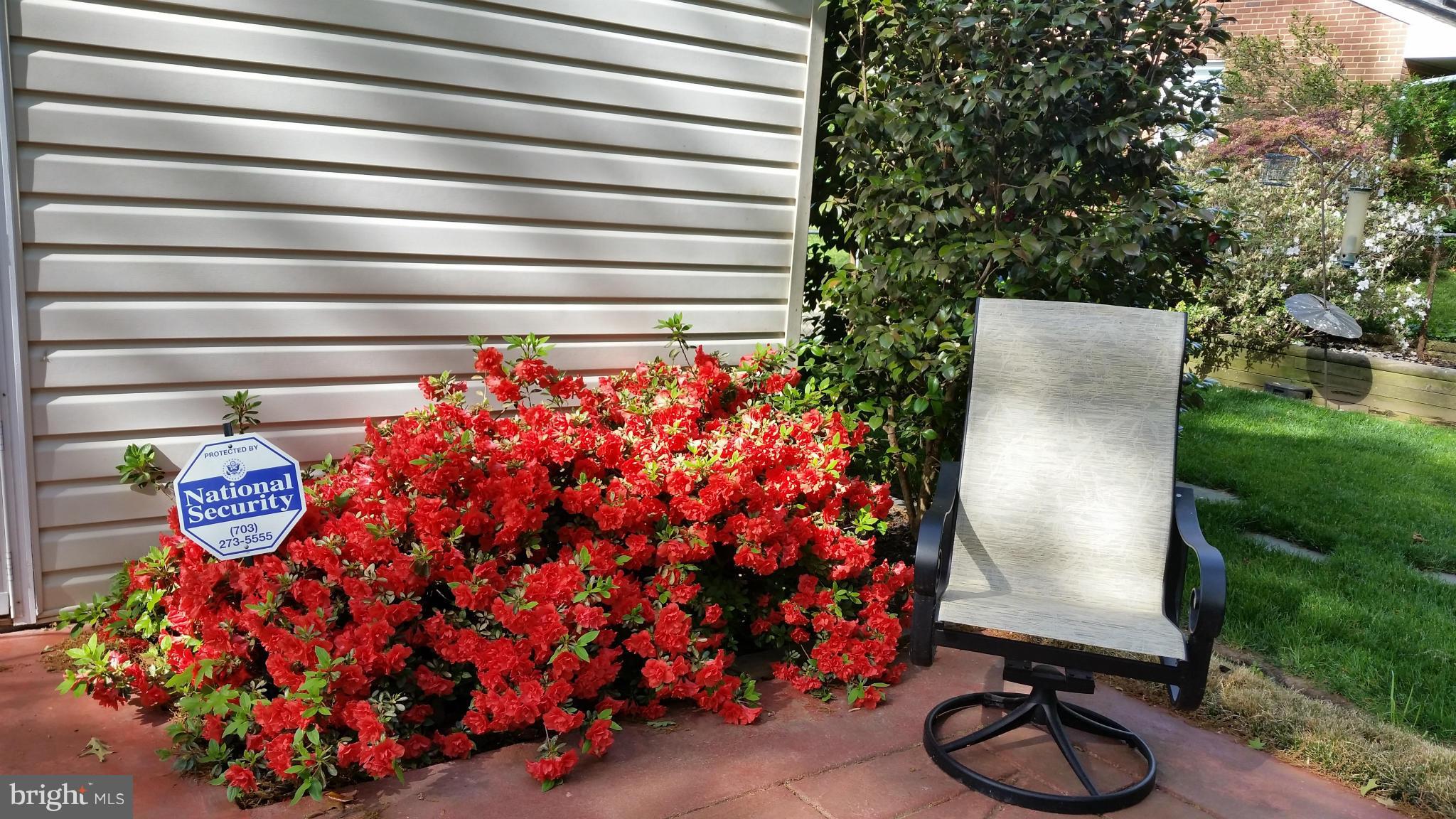 7315 Monticello Boulevard Springfield, VA 22150 - Photo 9 of 25 Exterior (Rear)