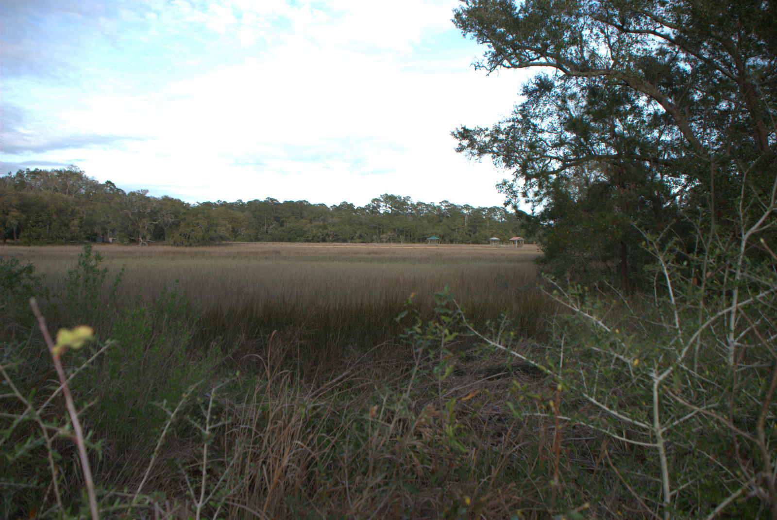 1 Bloody Point Road Wadmalaw Island, SC 29487 - Photo 21 of 42 DSC_1709