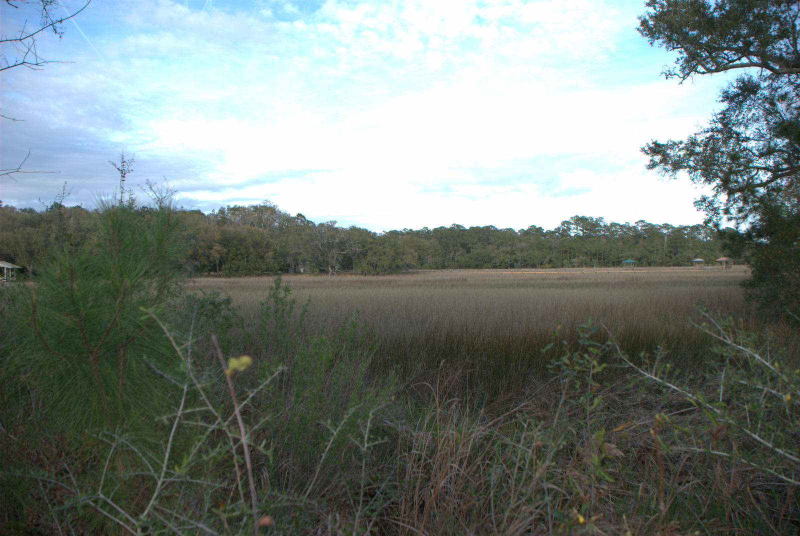 1 Bloody Point Road Wadmalaw Island, SC 29487 - Photo 22 of 42 DSC_1708