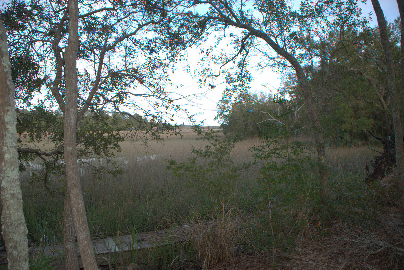 1 Bloody Point Road Wadmalaw Island, SC 29487 - Photo 23 of 42 DSC_1706