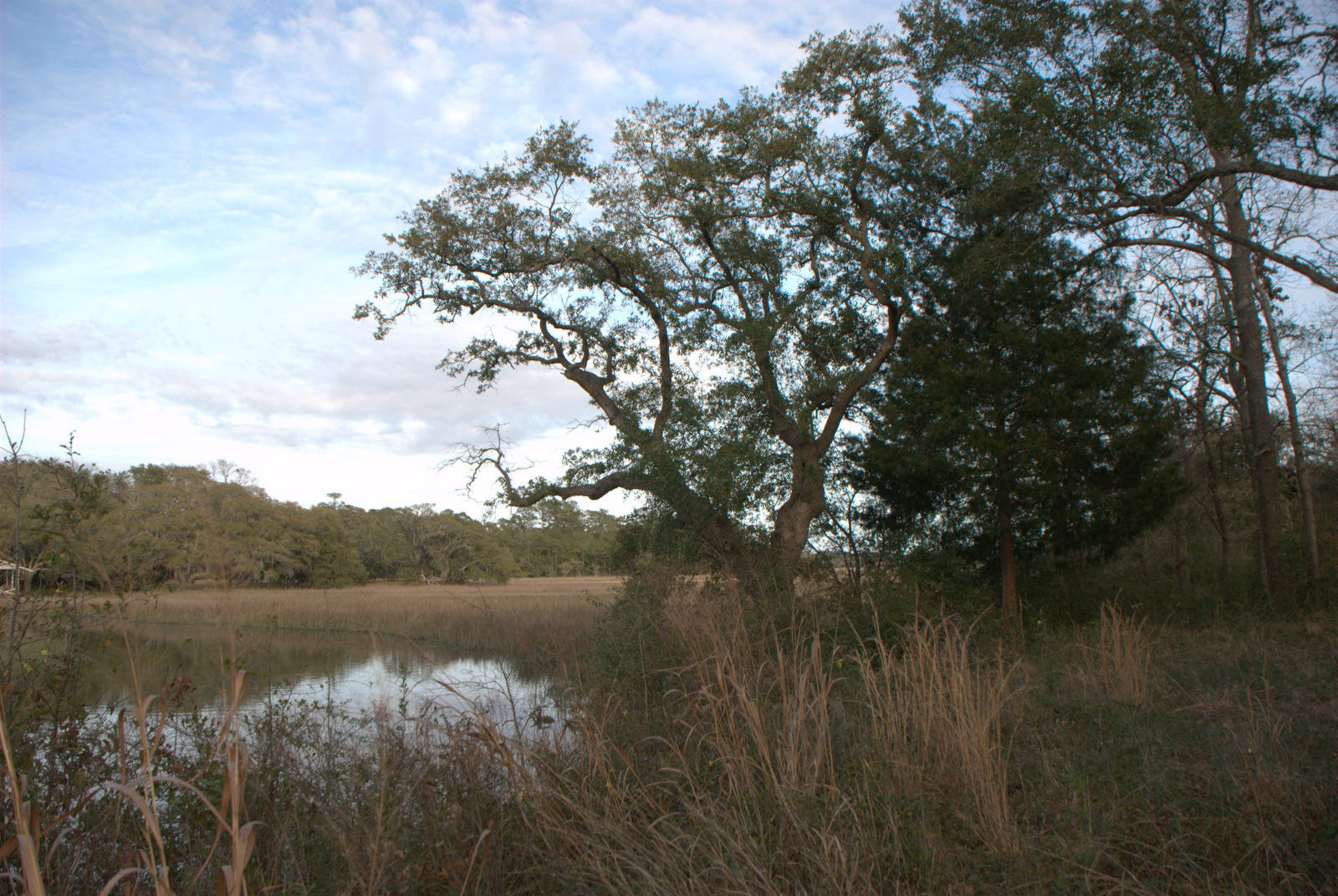 1 Bloody Point Road Wadmalaw Island, SC 29487 - Photo 26 of 42 DSC_1703