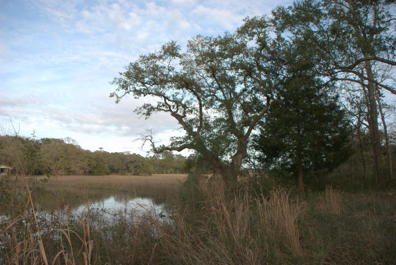 1 Bloody Point Road Wadmalaw Island, SC 29487 - Photo 27 of 42 DSC_1702