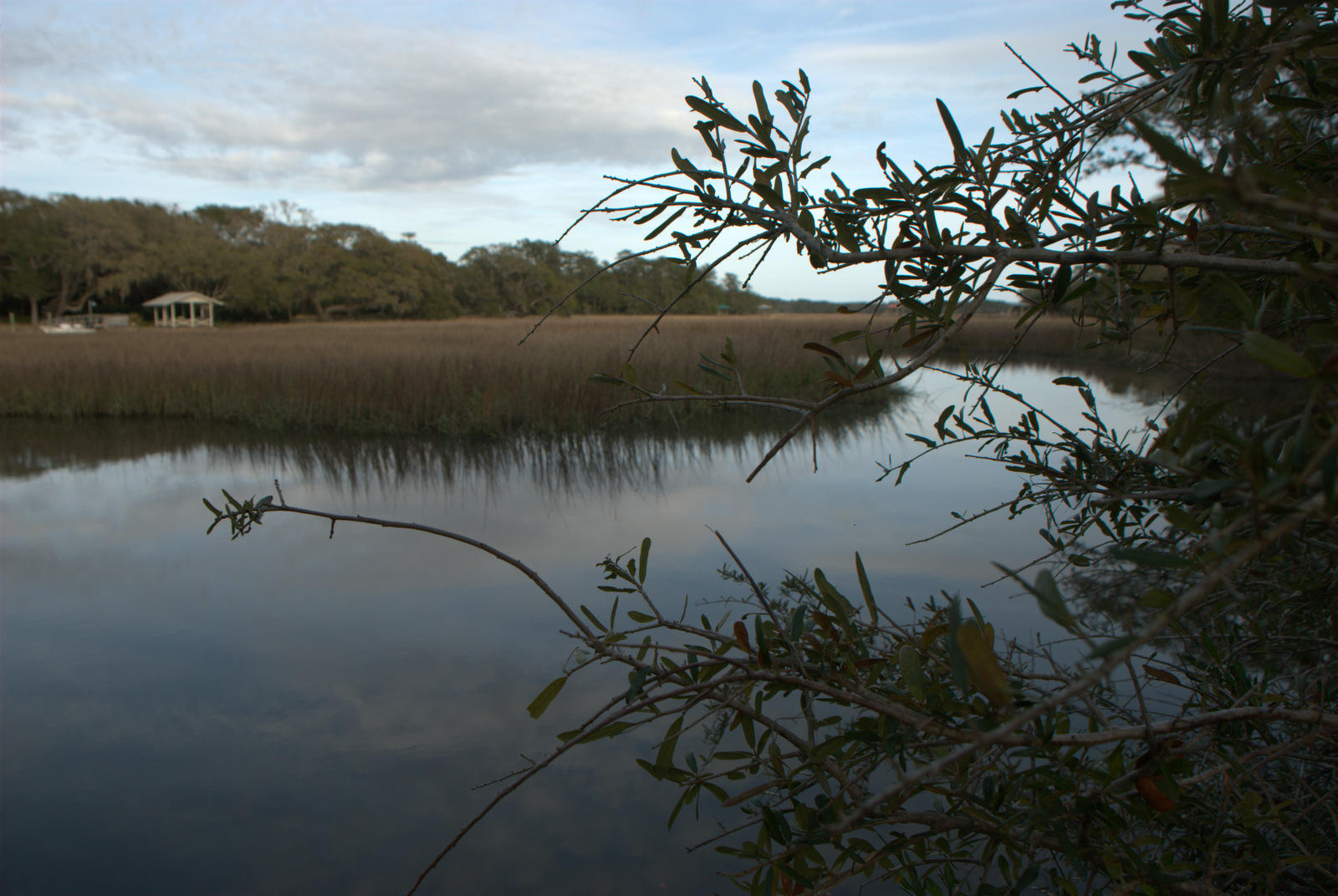 1 Bloody Point Road Wadmalaw Island, SC 29487 - Photo 28 of 42 DSC_1701