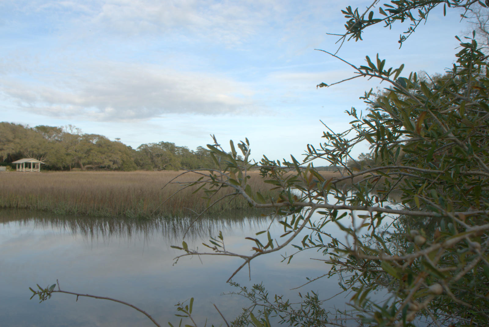 1 Bloody Point Road Wadmalaw Island, SC 29487 - Photo 30 of 42 DSC_1699
