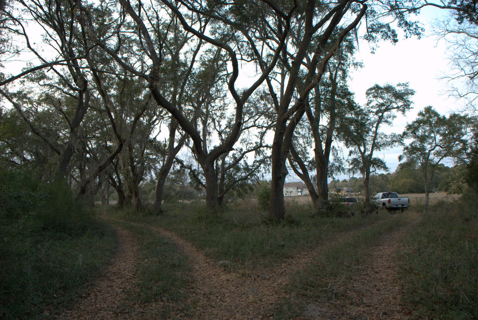 1 Bloody Point Road Wadmalaw Island, SC 29487 - Photo 4 of 42 DSC_1727