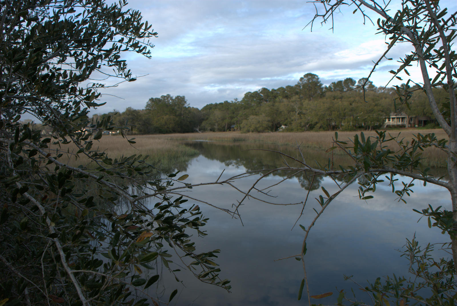 1 Bloody Point Road Wadmalaw Island, SC 29487 - Photo 31 of 42 DSC_1698