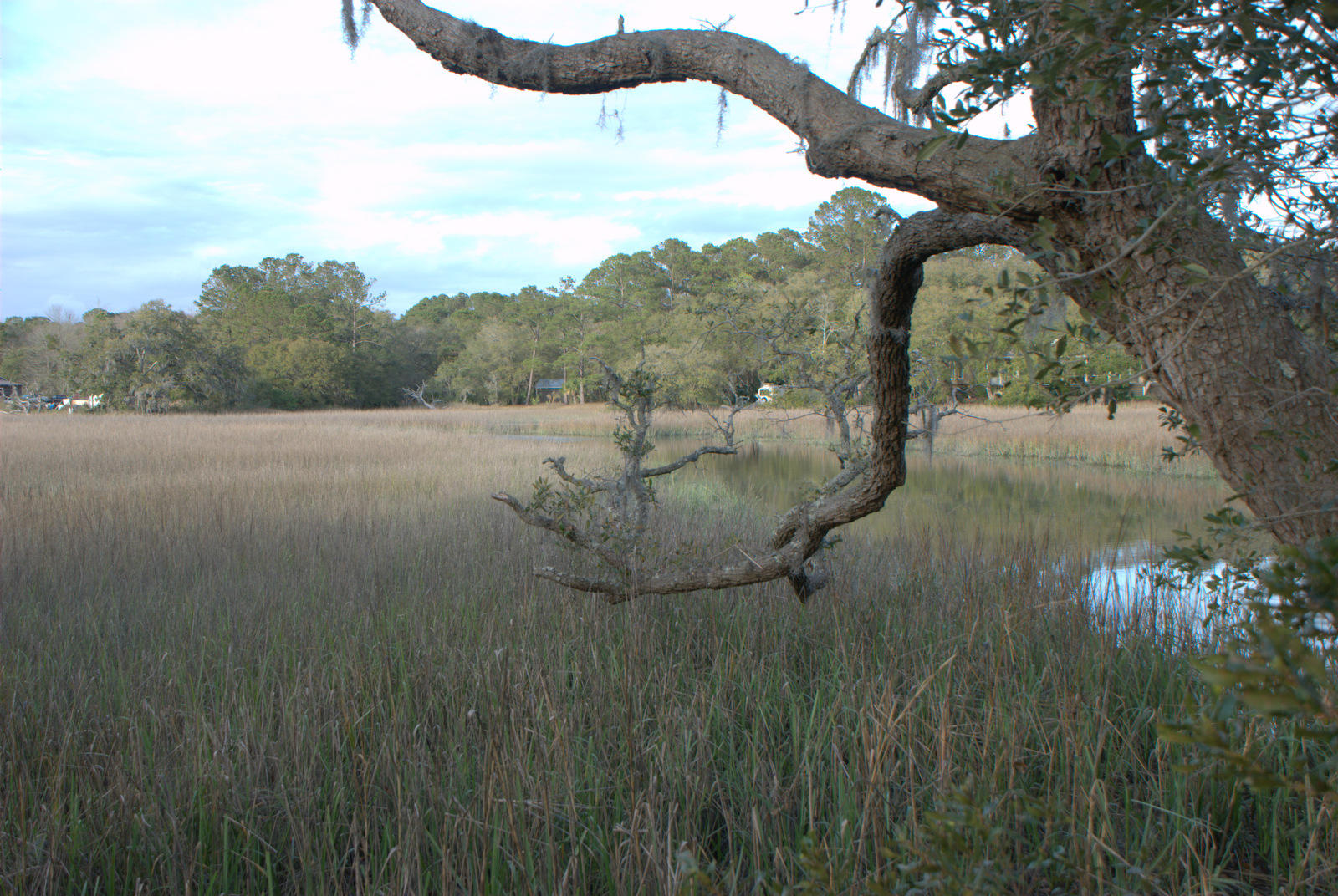 1 Bloody Point Road Wadmalaw Island, SC 29487 - Photo 32 of 42 DSC_1697