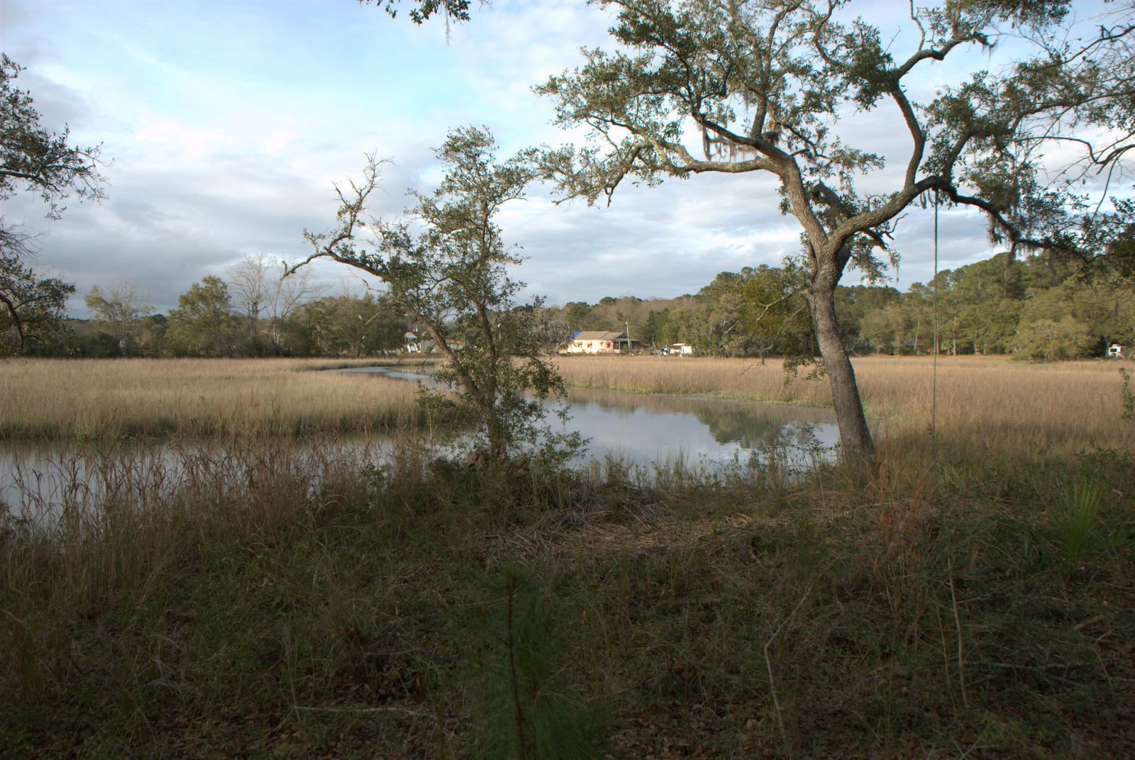 1 Bloody Point Road Wadmalaw Island, SC 29487 - Photo 34 of 42 DSC_1695