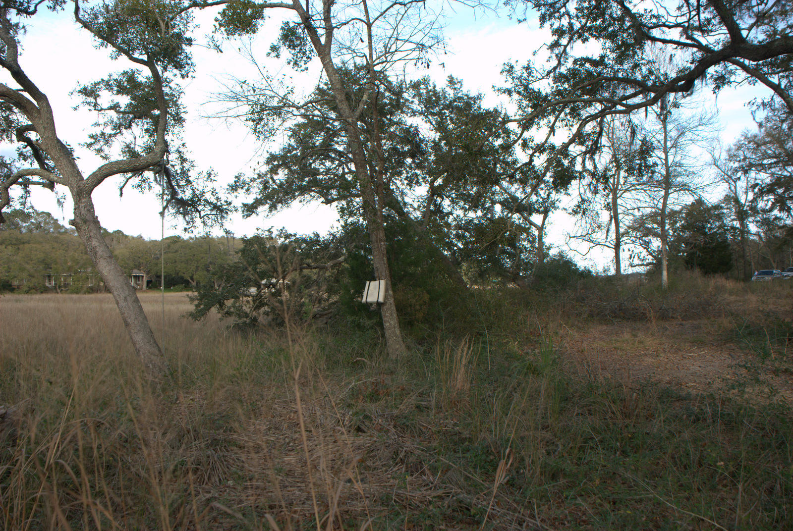 1 Bloody Point Road Wadmalaw Island, SC 29487 - Photo 38 of 42 DSC_1691
