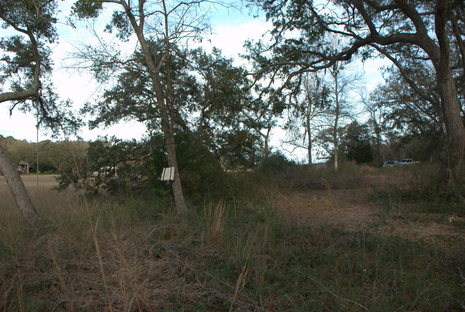1 Bloody Point Road Wadmalaw Island, SC 29487 - Photo 39 of 42 DSC_1690