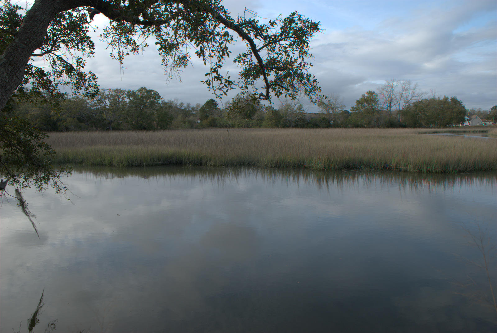 1 Bloody Point Road Wadmalaw Island, SC 29487 - Photo 41 of 42 DSC_1688
