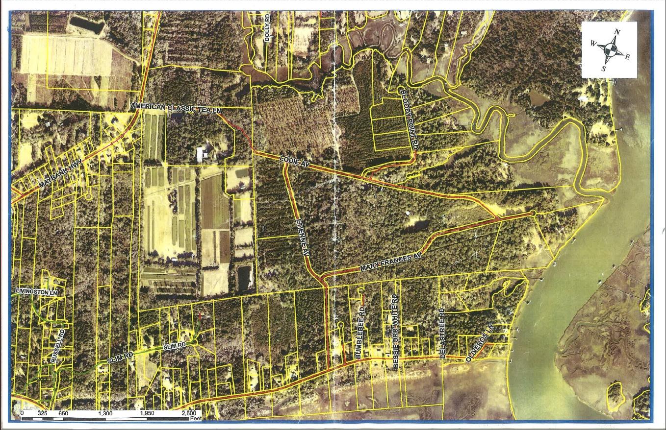 1 Bloody Point Road Wadmalaw Island, SC 29487 - Photo 42 of 42 Red House Plat