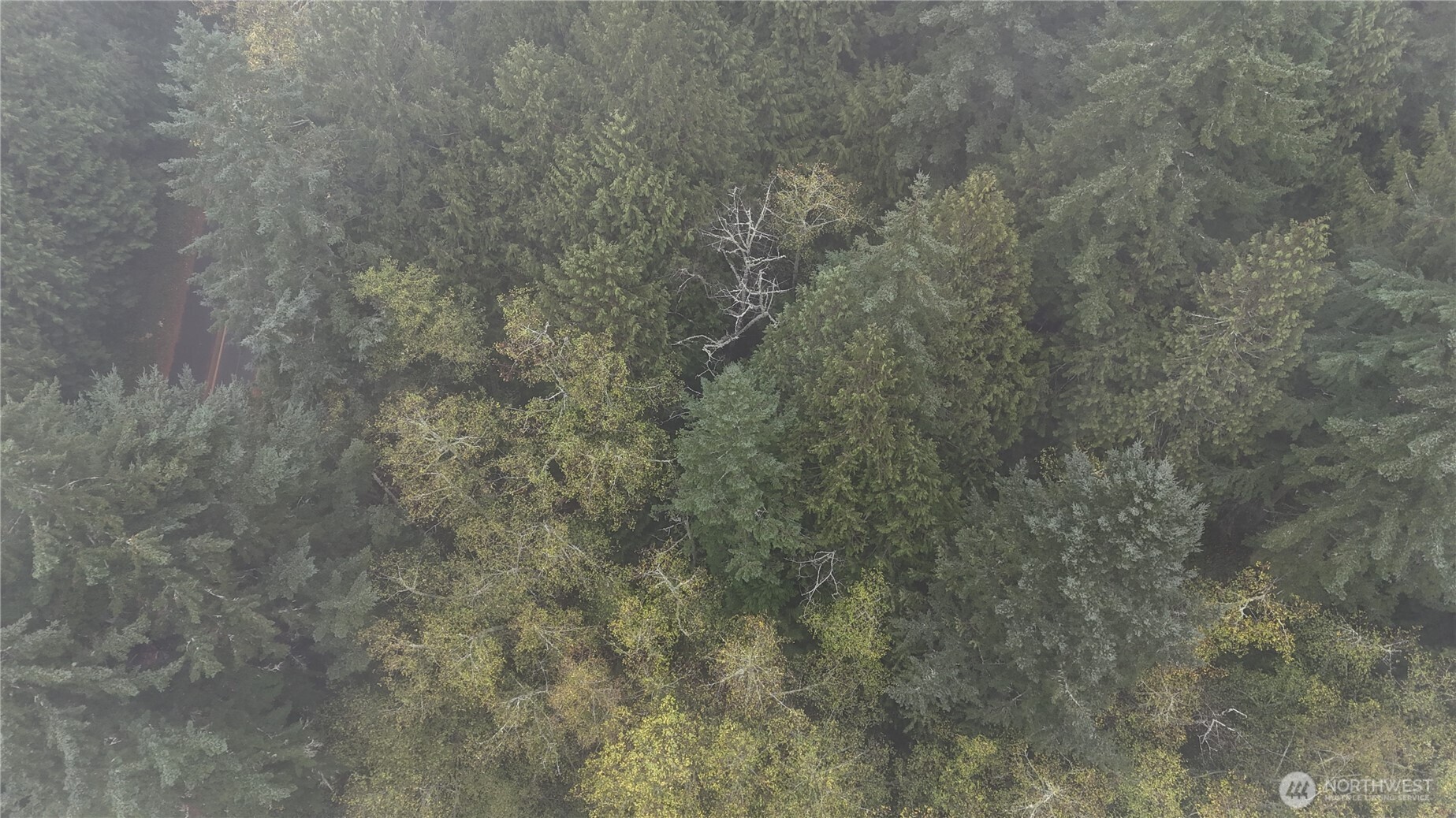-xxx Jewett Road Clinton, WA 98236 - Photo 14 of 14
