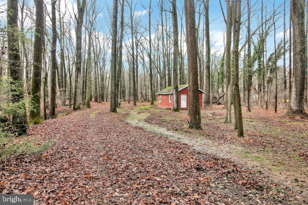 1159 Old Elk Neck Road Elkton, MD 21921 - Photo 28 of 32 Utility Shed on Property