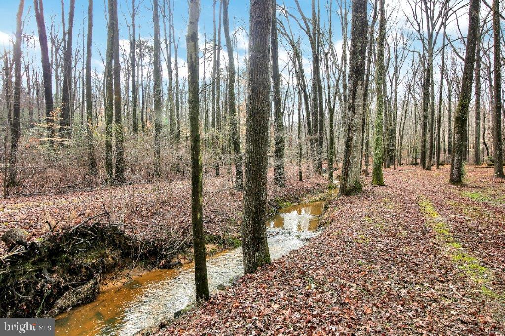 1159 Old Elk Neck Road Elkton, MD 21921 - Photo 29 of 32 Peaceful and Private! Perfect for Nature Walks