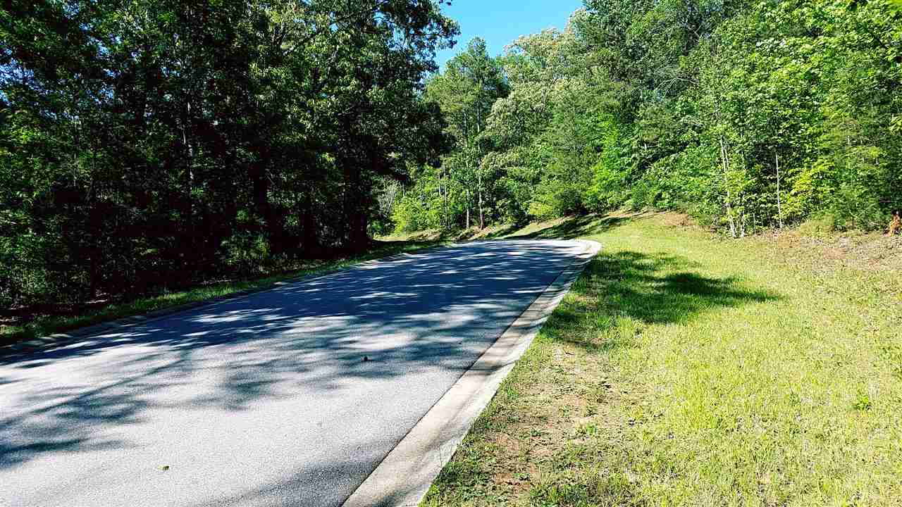 Lot 25 Friendship Pointe Seneca, SC 29678 - Photo 11 of 17 Gallery Image 11