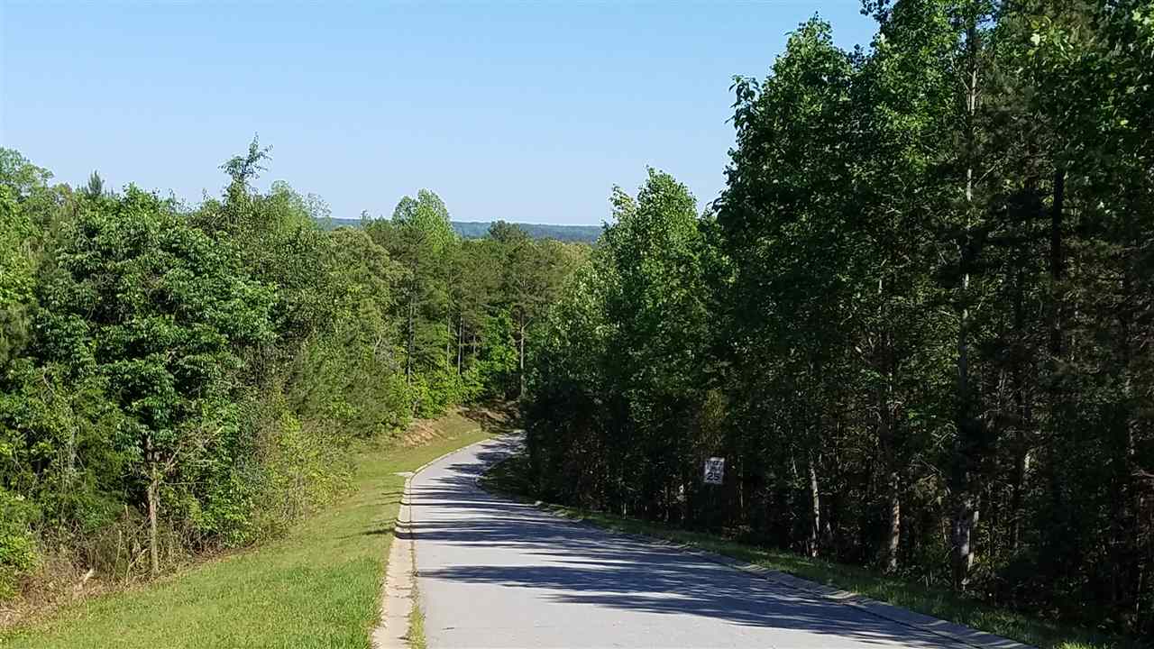 Lot 25 Friendship Pointe Seneca, SC 29678 - Photo 15 of 17 Gallery Image 15