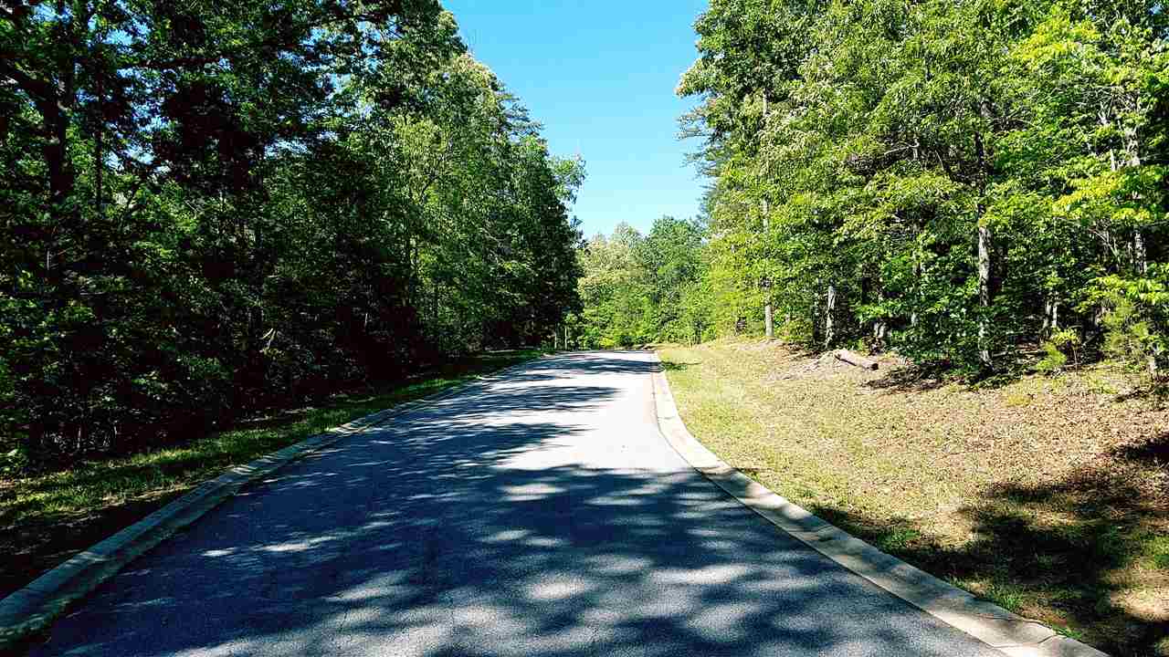 Lot 25 Friendship Pointe Seneca, SC 29678 - Photo 10 of 17 Gallery Image 10