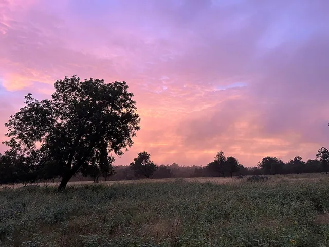 a view of mountain with lake view