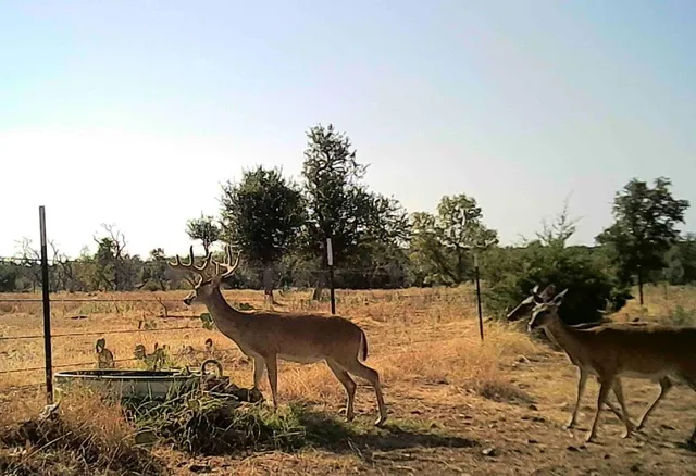 $850,000 | 275 Starview Road, Fredericksburg, TX 78624