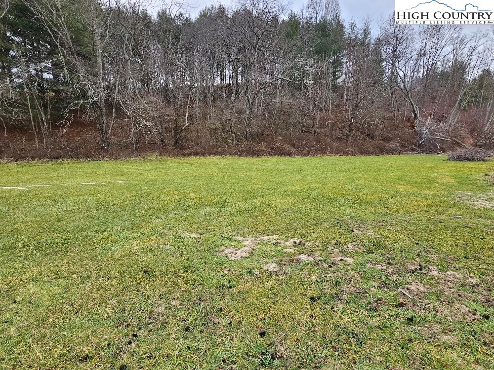 1033 Walnut Branch Church Road Sparta, NC 28675 - Photo 5 of 26 Gallery Image 5