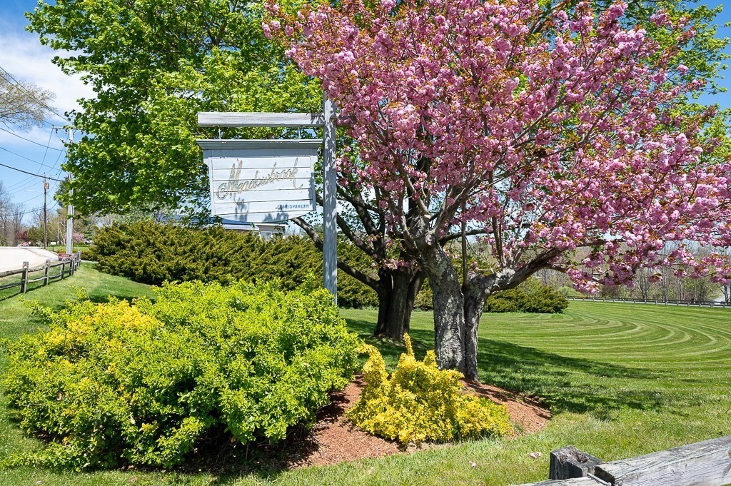 4 Tuck Farm Road, Unit 6 Auburn, MA 01501 - Photo 3 of 20 a view of a garden with a tree