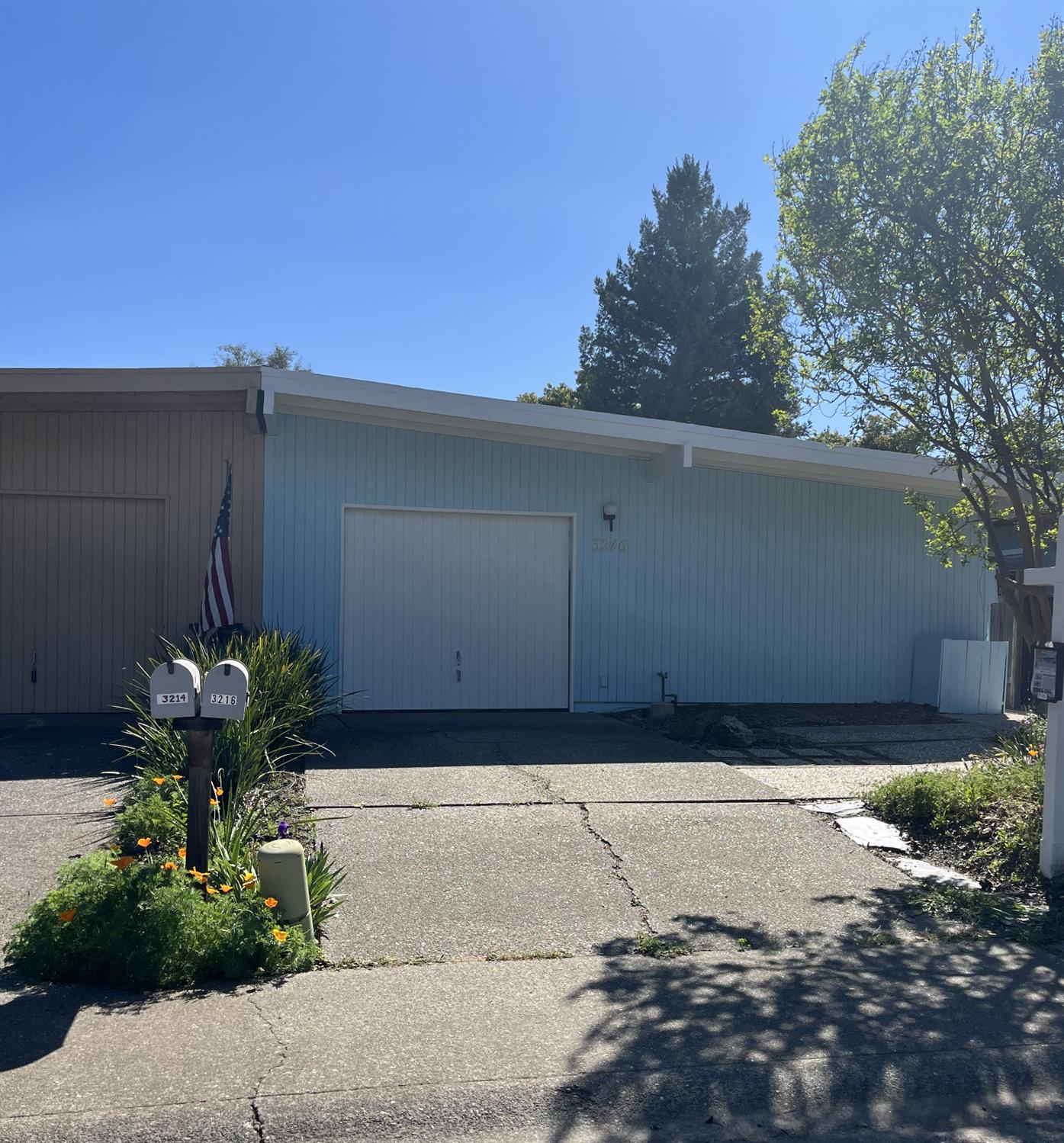 3216 Trawler Place Davis, CA 95616 - Photo 2 of 38 a plant view