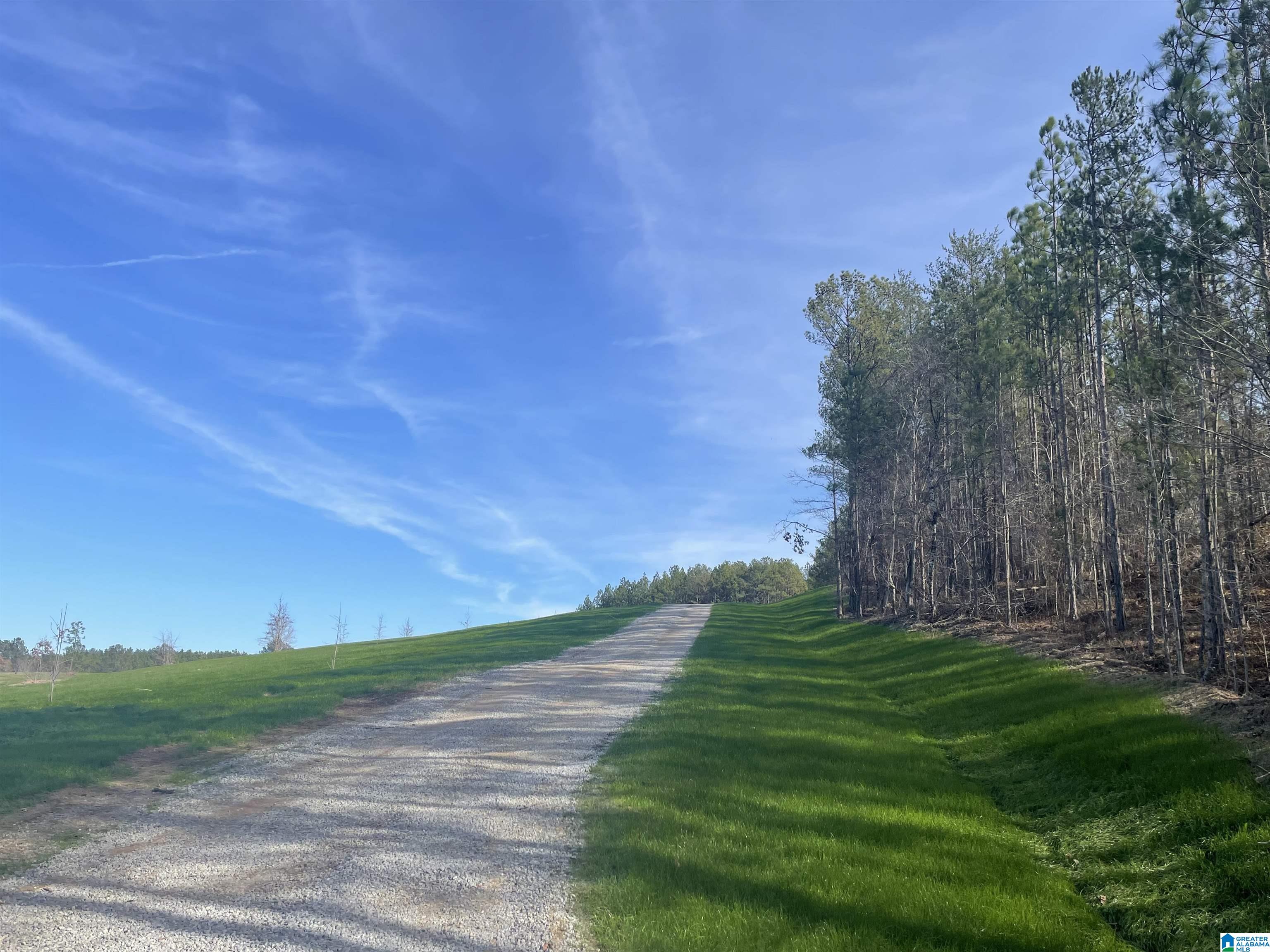 1 Chelsea Road, Unit 3 Columbiana, AL 35051 - Photo 11 of 22