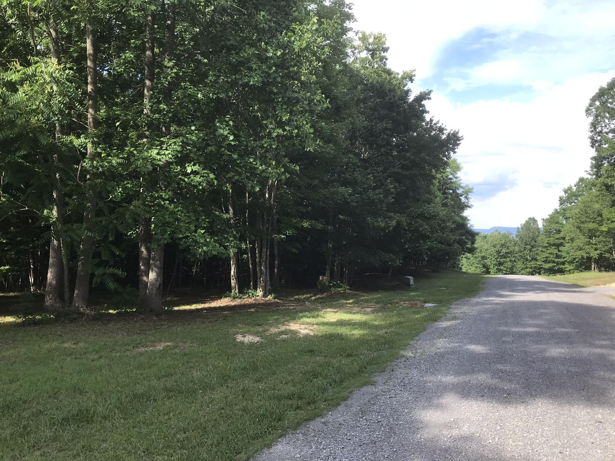 503 Wilderness Way Dunlap, TN 37327 - Photo 9 of 22