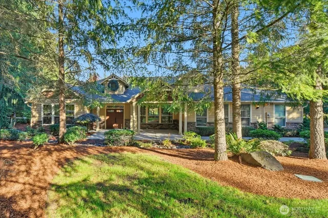 a view of road with large trees
