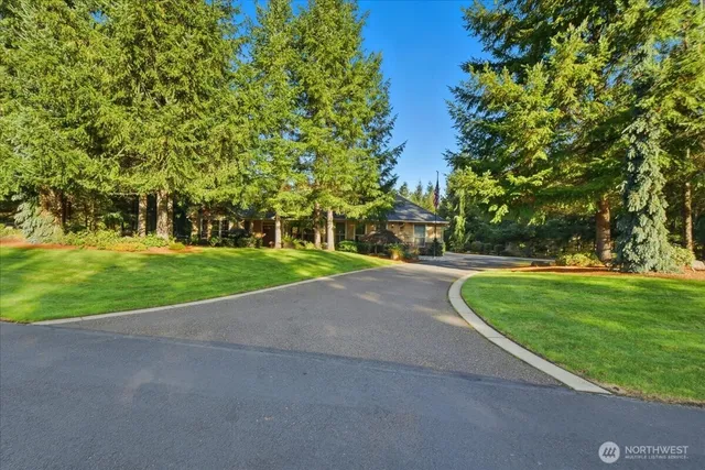 a view of a park with large trees