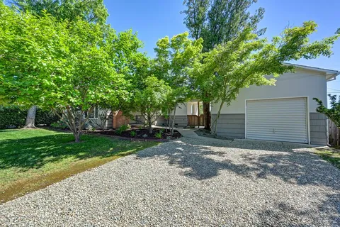 a view of a yard with plants and trees