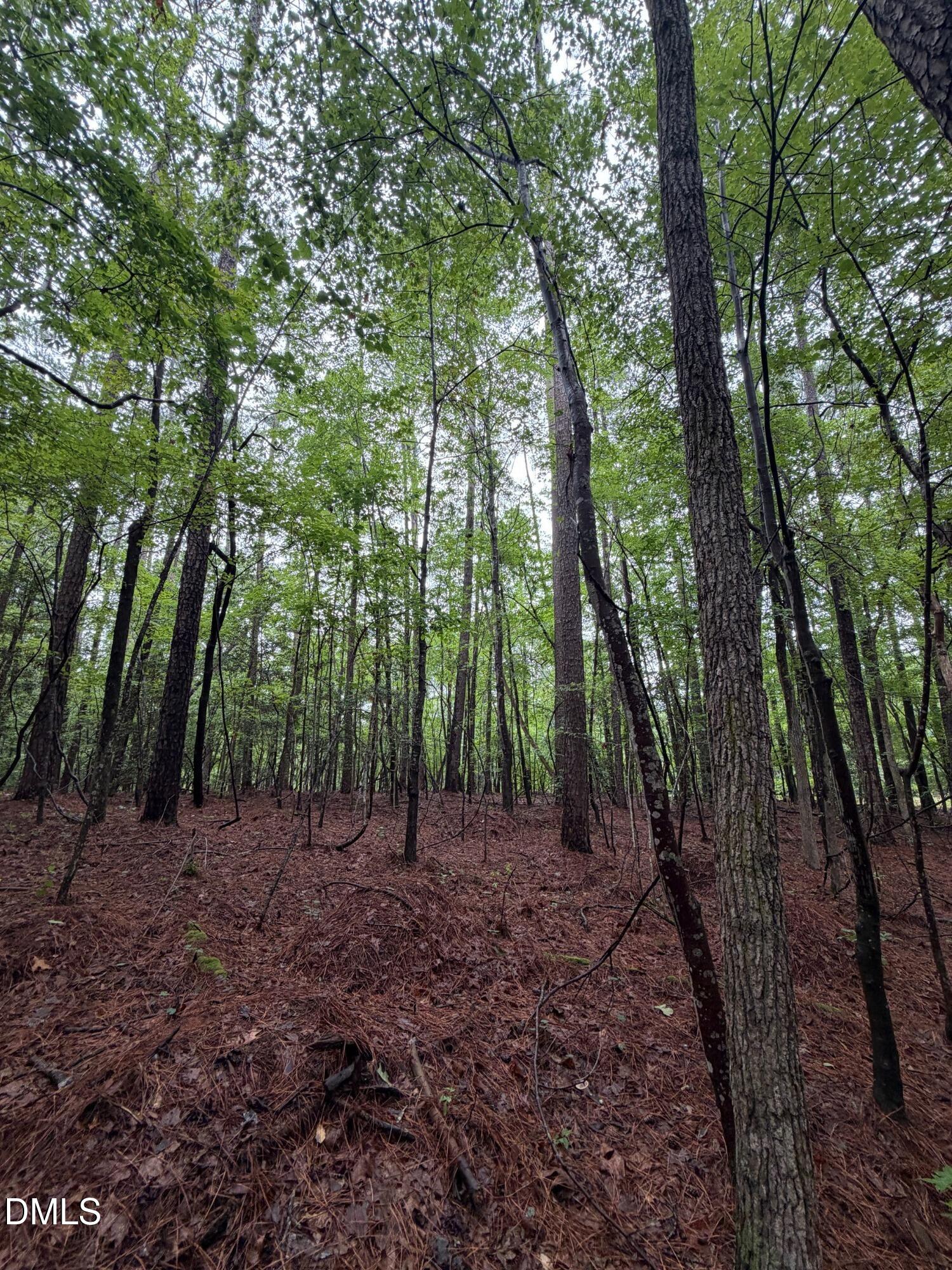 Lot 5 Claude Lewis Road Bailey, NC 27807 - Photo 13 of 16 IMG_4288(1)_MLS