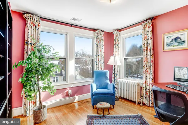 a living room with furniture plant and a window