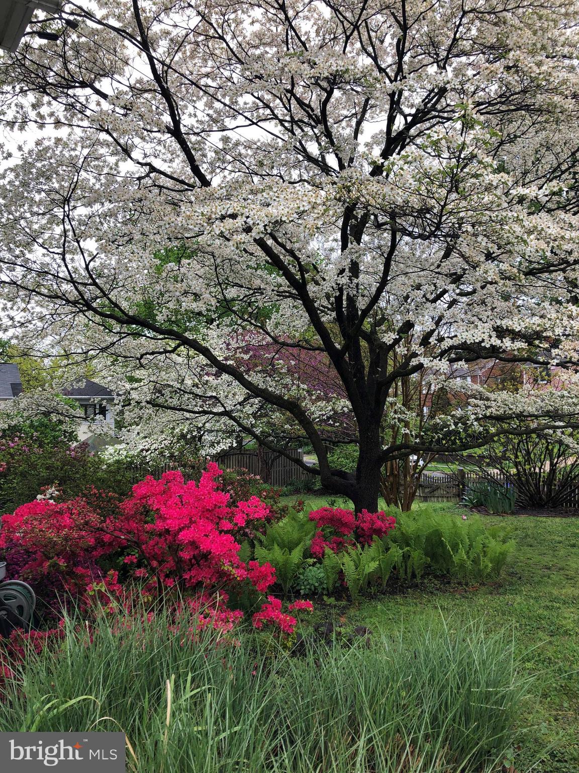 512 Pershing Drive Silver Spring, MD 20910 - Photo 34 of 39