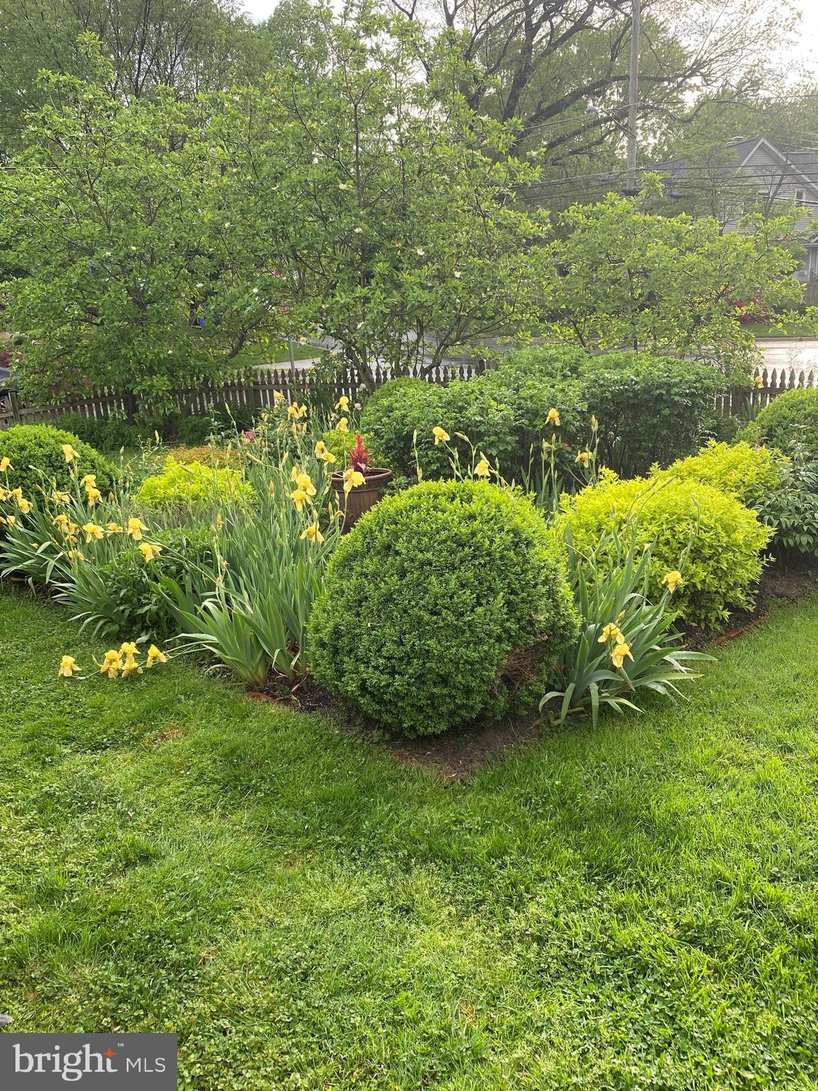 512 Pershing Drive Silver Spring, MD 20910 - Photo 35 of 39