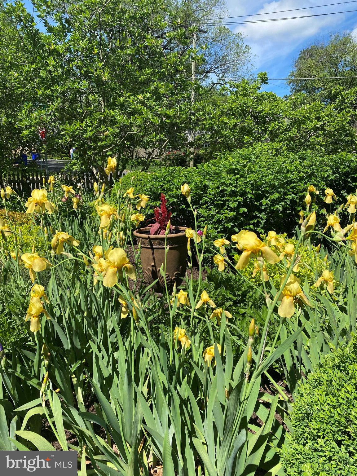 512 Pershing Drive Silver Spring, MD 20910 - Photo 36 of 39