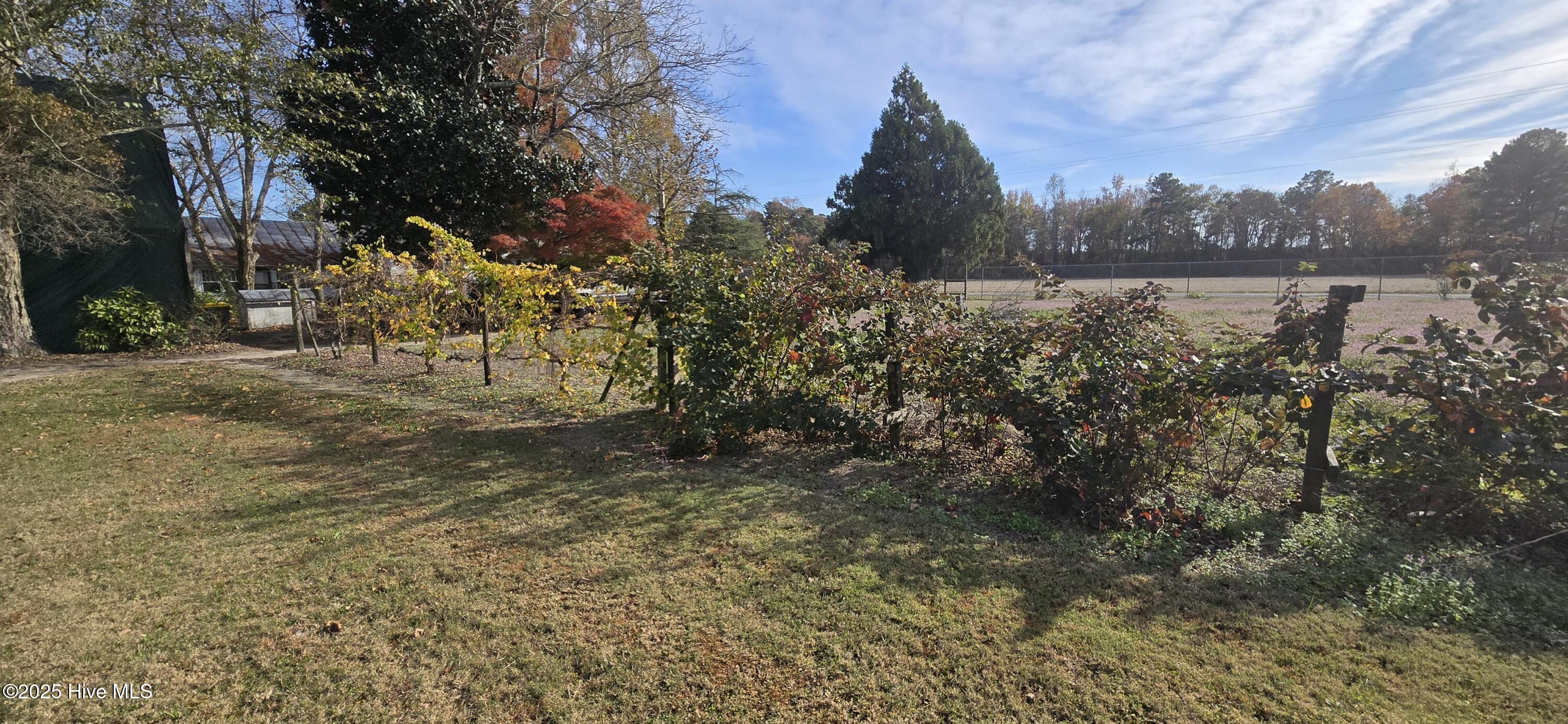 272 West Littlefield Road Ayden, NC 28513 - Photo 21 of 39 20251118_140404