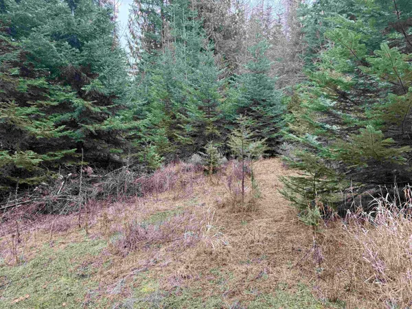 $170,000 | Tbd South Janice Drive, Worley, ID 83876