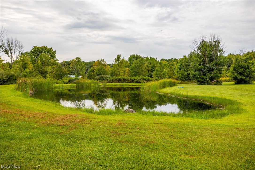 10965 Crawford Road Homerville, OH 44235 - Photo 33 of 35 View of water view