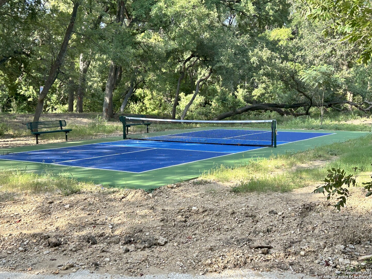 2130 Shepards Street Seguin, TX 78155 - Photo 19 of 21 a view of a yard with large trees