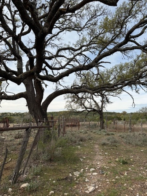 4214 Weisenburg Road Junction, TX 76849 - Photo 14 of 25